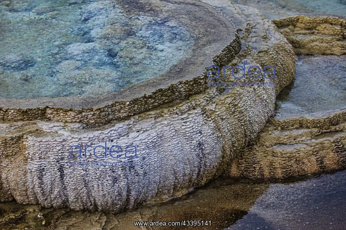 : Travertine pools of Mammoth Hot Springs in Yellowstone : Travertine pools of Mammoth Hot Springs in Yellowstone