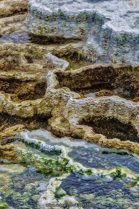 : Travertine pools of Mammoth Hot Springs in Yellowstone : Travertine pools of Mammoth Hot Springs in Yellowstone