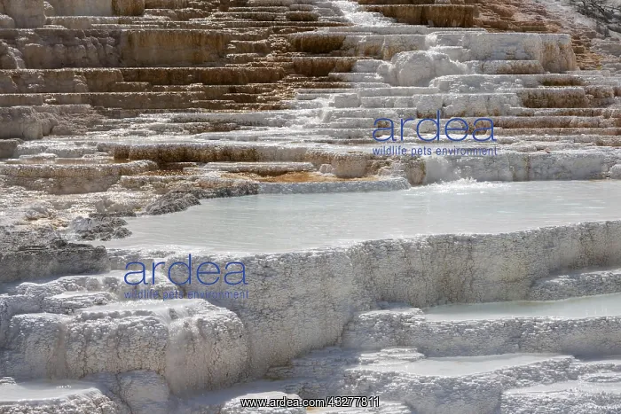 : Travertine terraces, hot springs, mineral deposits : Travertine terraces, hot springs, mineral deposits