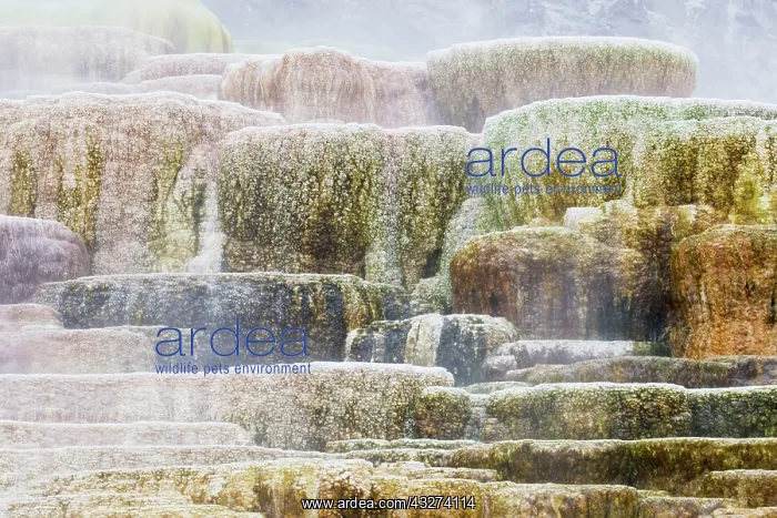  : Travertine Terraces at Hotspring, Mound Terrace