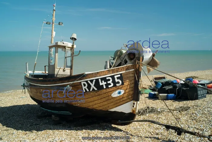: Trawler Boat : Trawler Boat