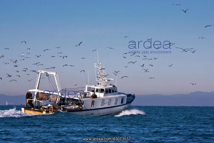  : Back of a trawler in the early morning in winter