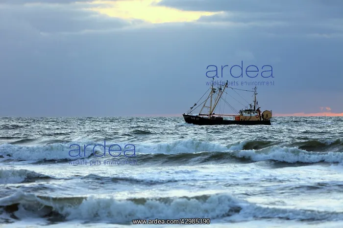 : Trawler - fishing boat at sea : Trawler - fishing boat at sea