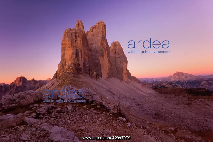 : Tre Cime di Lavaredo - the three peaks of the Tre : Tre Cime di Lavaredo - the three peaks of the Tre