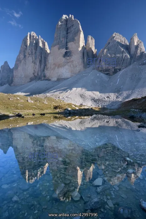 : Tre Cime di Lavaredo - the three peaks of the Tre : Tre Cime di Lavaredo - the three peaks of the Tre