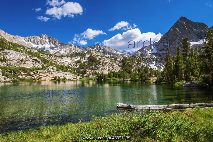 : Treasure Lake, John Muir Wilderness, Sierra Nevada : Treasure Lake, John Muir Wilderness, Sierra Nevada