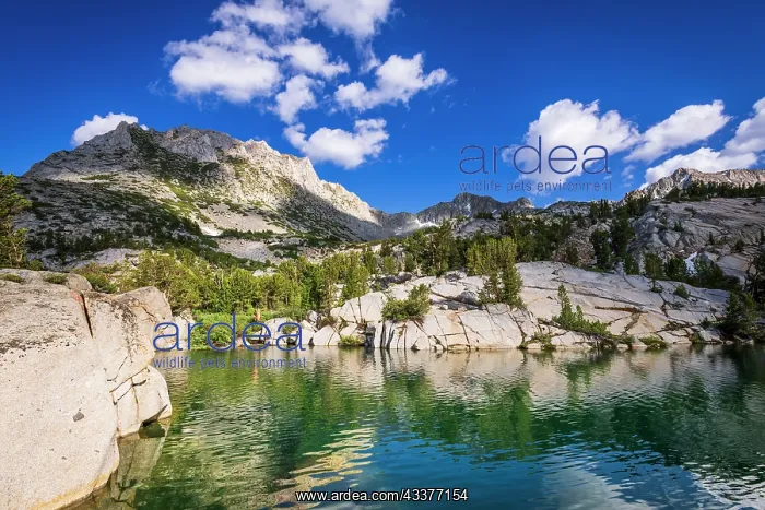 : Treasure Lake, John Muir Wilderness, Sierra Nevada : Treasure Lake, John Muir Wilderness, Sierra Nevada