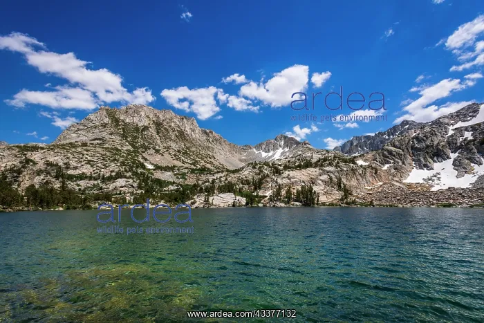  : Treasure Lake under the Sierra Crest, John Muir