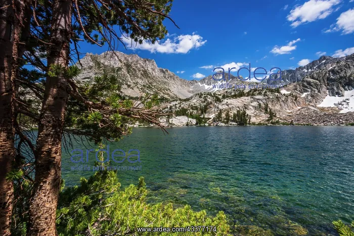 : Treasure Lake under the Sierra Crest, John Muir : Treasure Lake under the Sierra Crest, John Muir