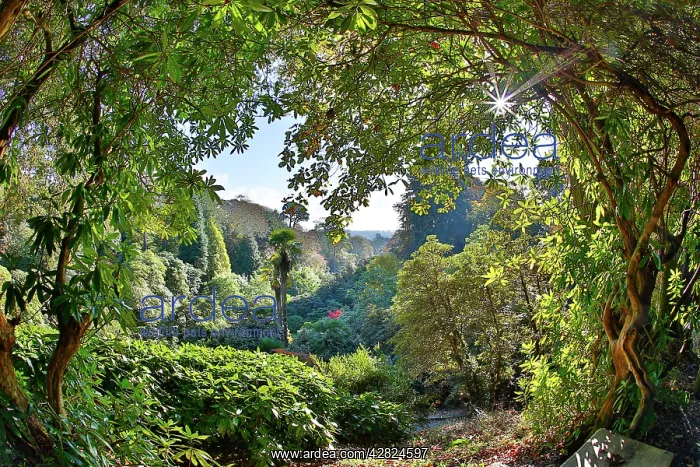  : Trebah Garden