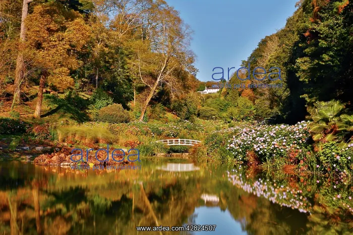 : Trebah Garden - Autumn : Trebah Garden - Autumn