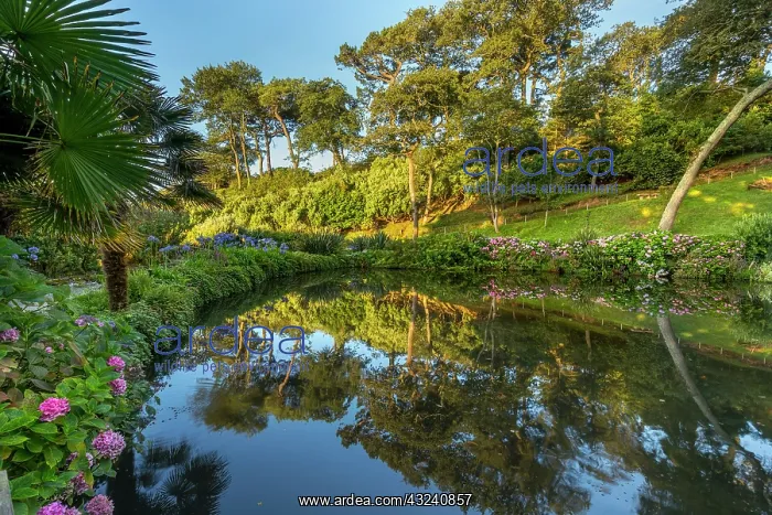  : Trebah Garden - Summer - Cornwall - UK