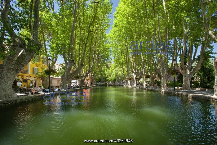 : Tree-lined pool, les Bassin de l'Etang : Tree-lined pool, les Bassin de l'Etang