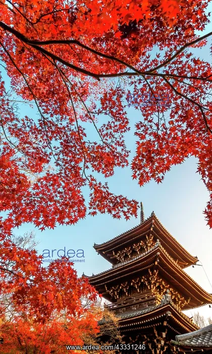 : Tree pagoda in the Shinnyodo temple, Japan : Tree pagoda in the Shinnyodo temple, Japan