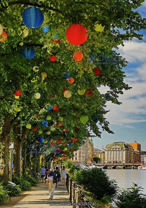  : The trees on Ballindamm by the Inner Alster Lake