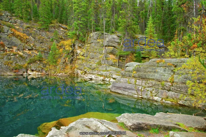 : Trees, rocks, and cliffs reflect in the : Trees, rocks, and cliffs reflect in the