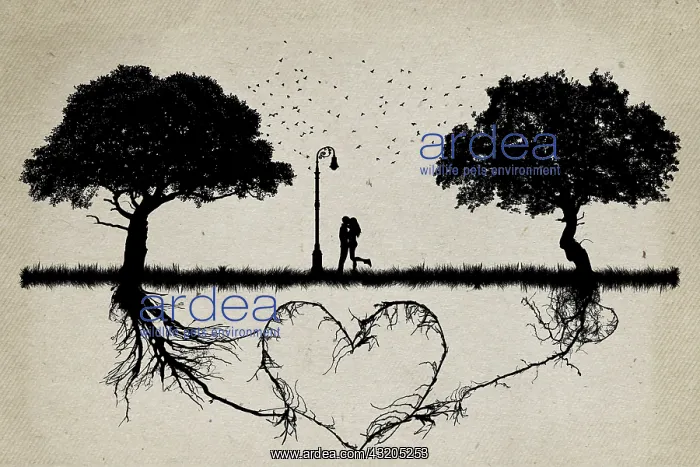 : Two trees in front of each other with underground : Two trees in front of each other with underground