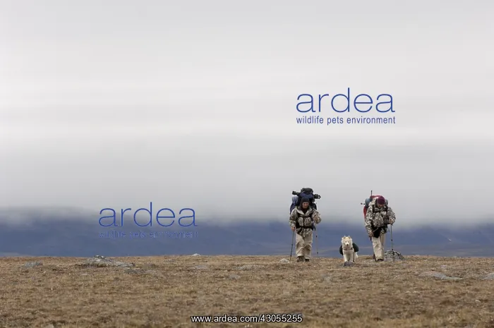 : Trekkers independently of 10 days Somerset Island Canada : Trekkers independently of 10 days Somerset Island Canada
