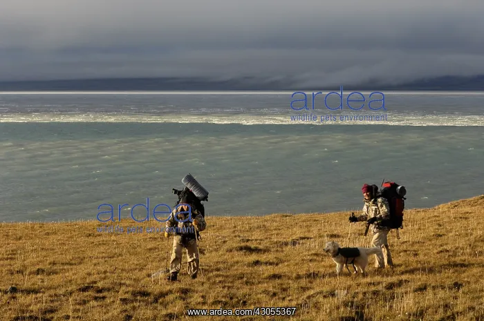 : Trekkers lakeside Stanwell Fletcher Somerset Island Canada : Trekkers lakeside Stanwell Fletcher Somerset Island Canada