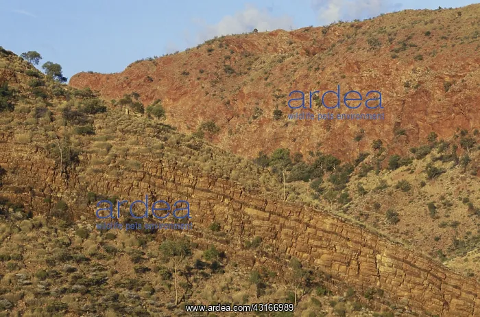 : Trephina Gorge, Australia : Trephina Gorge, Australia