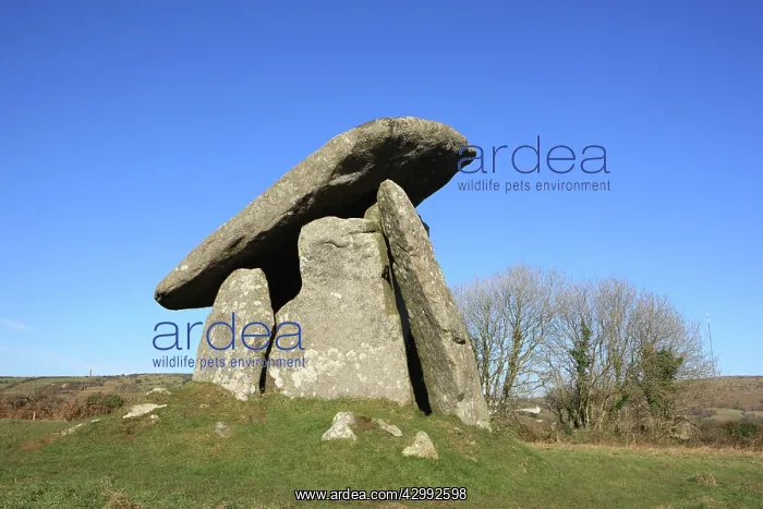 : Trethevy Quoit : Trethevy Quoit