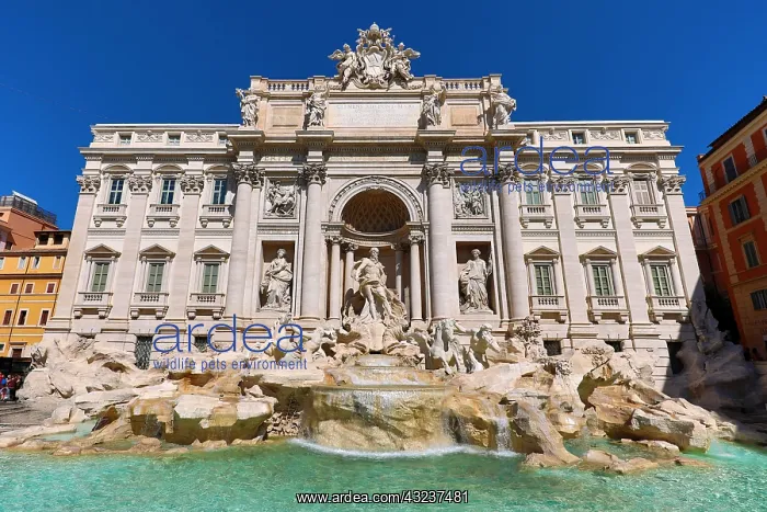: The Trevi Fountain, Rome, Italy : The Trevi Fountain, Rome, Italy