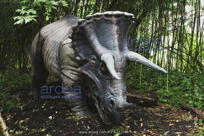  : Triceratops