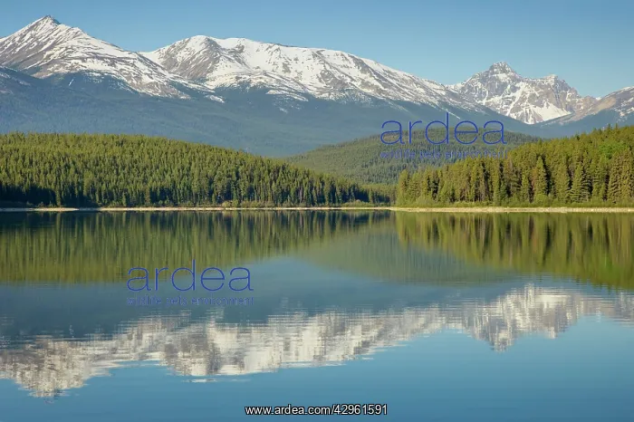 : Trident Range reflected in Patricia Lake : Trident Range reflected in Patricia Lake