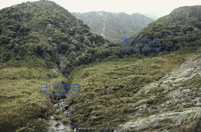 : Trim Line in New Zealand : Trim Line in New Zealand