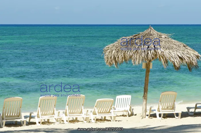 : Trinidad, Cuba. Playa Ancon : Trinidad, Cuba. Playa Ancon