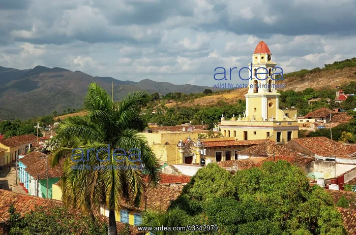 : Trinidads most famous landmark, the bell tower : Trinidads most famous landmark, the bell tower