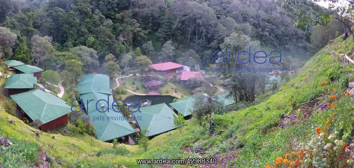 : Trogan Lodges : Trogan Lodges