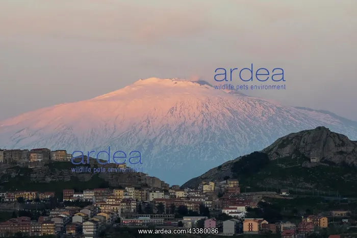 : Troina in front of Etna volcano, Etna, Sicily, Italy : Troina in front of Etna volcano, Etna, Sicily, Italy