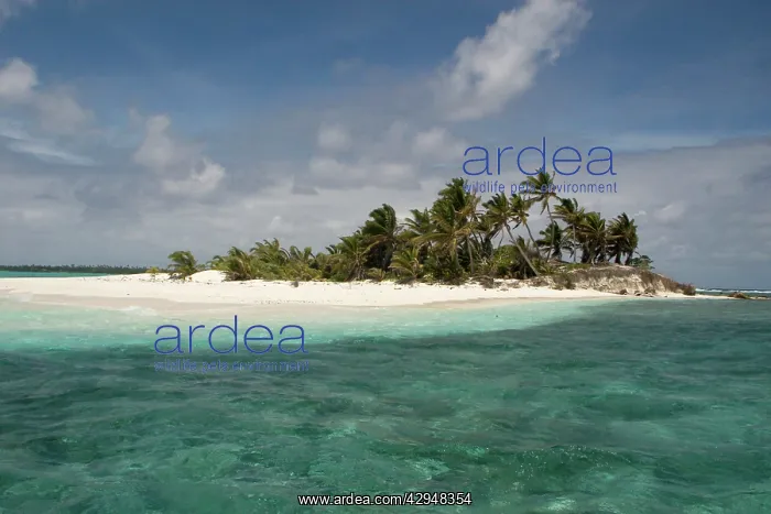 : Tropical atoll - Prison atoll, known as Pulu Beras : Tropical atoll - Prison atoll, known as Pulu Beras