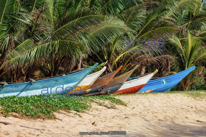 : Tropical beach with row of fishing boats on sand : Tropical beach with row of fishing boats on sand