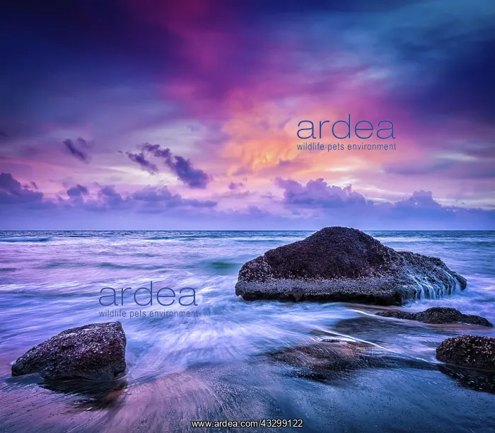 : Tropical beach vacation background, waves and rocks : Tropical beach vacation background, waves and rocks