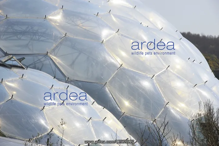  : The Tropical Biomes