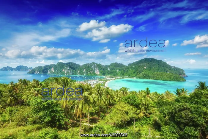 : Tropical island with resorts wallpaper, Phi-Phi : Tropical island with resorts wallpaper, Phi-Phi