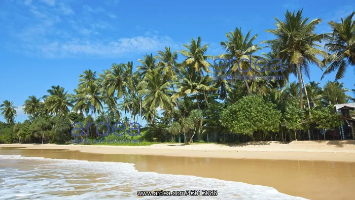 : Tropical paradise idyllic beach Sri Lanka : Tropical paradise idyllic beach Sri Lanka
