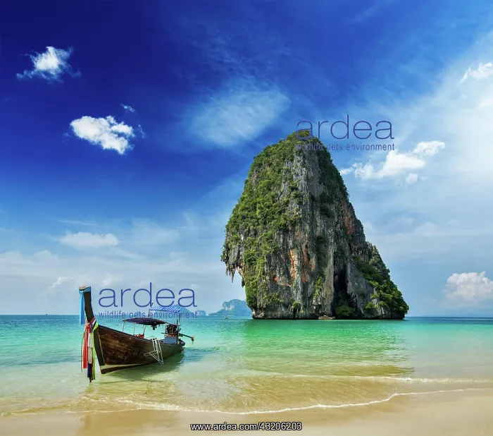 : Tropical vacation holiday beach concept, Long ta : Tropical vacation holiday beach concept, Long ta