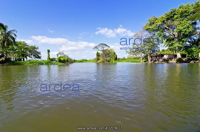 : Tropical vegetation and a house on a small island : Tropical vegetation and a house on a small island