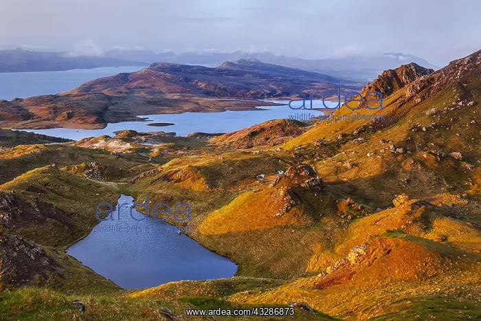 : Trotternish landscape - hilly landscape near The : Trotternish landscape - hilly landscape near The