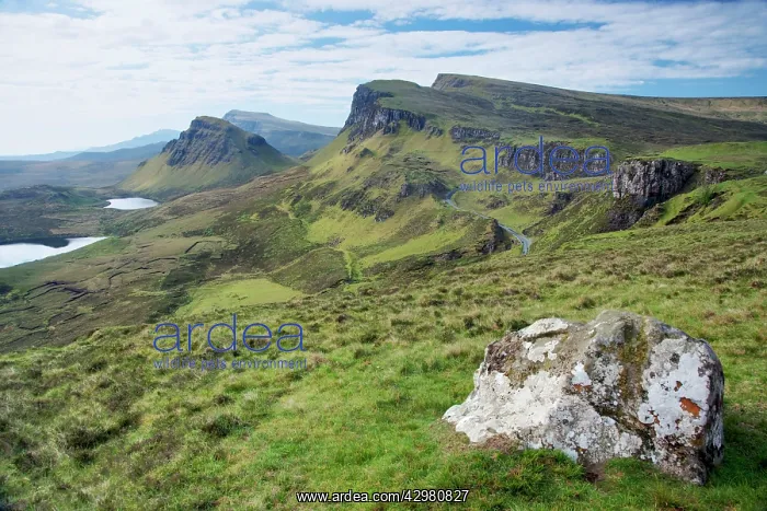 : Trotternish Peninsular Ridge : Trotternish Peninsular Ridge