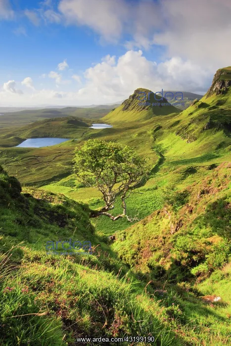 : Trotternish, The Quaraig, Isle of Skye, Scotland : Trotternish, The Quaraig, Isle of Skye, Scotland