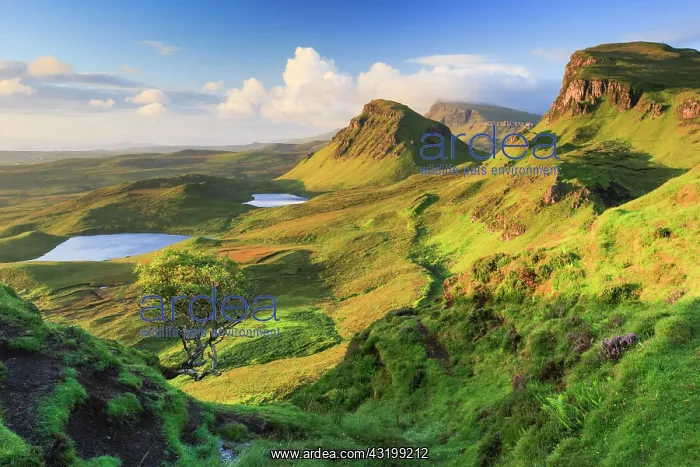 : Trotternish, The Quaraig, Isle of Skye, Scotland : Trotternish, The Quaraig, Isle of Skye, Scotland