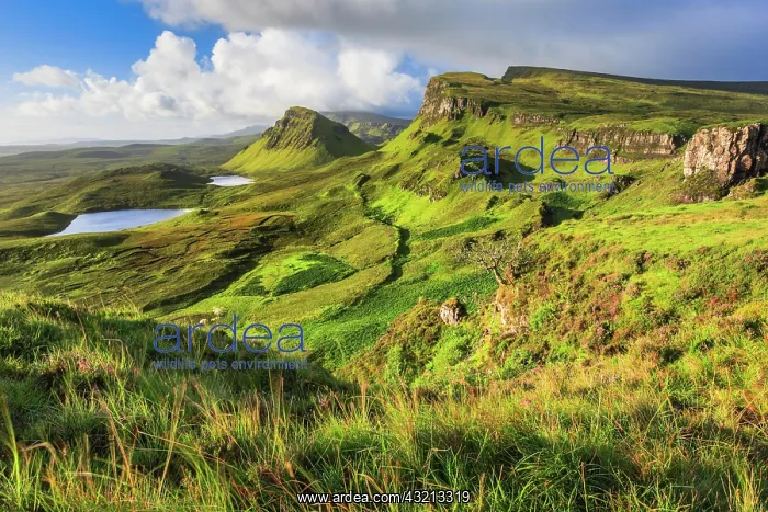 : Trotternish, The Quaraig, Isle of Skye, Scotland : Trotternish, The Quaraig, Isle of Skye, Scotland