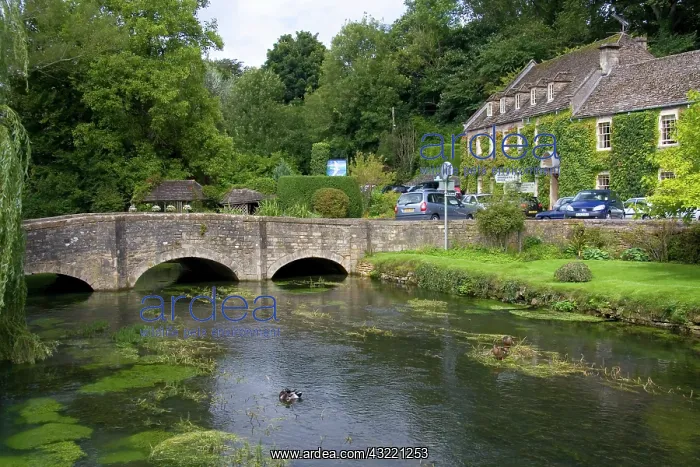 : Trout stream in the village of Bibury, Gloucestershire : Trout stream in the village of Bibury, Gloucestershire