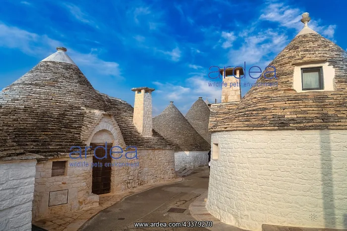 : Trulli in Alberobello, Valle d'Itria, Apulia, Italy, Europe : Trulli in Alberobello, Valle d'Itria, Apulia, Italy, Europe