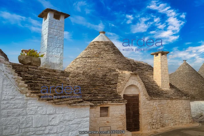 : Trulli in Alberobello, Valle d'Itria, Apulia, Italy, Europe : Trulli in Alberobello, Valle d'Itria, Apulia, Italy, Europe