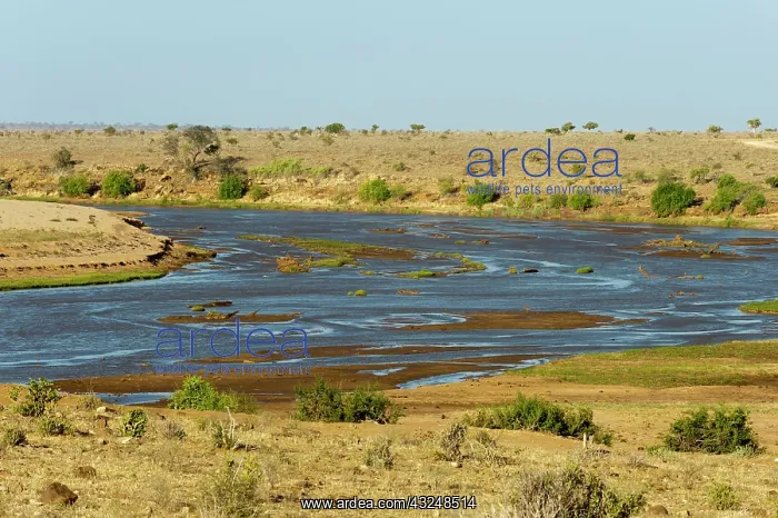 : Tsavo East National Park, Kenya : Tsavo East National Park, Kenya